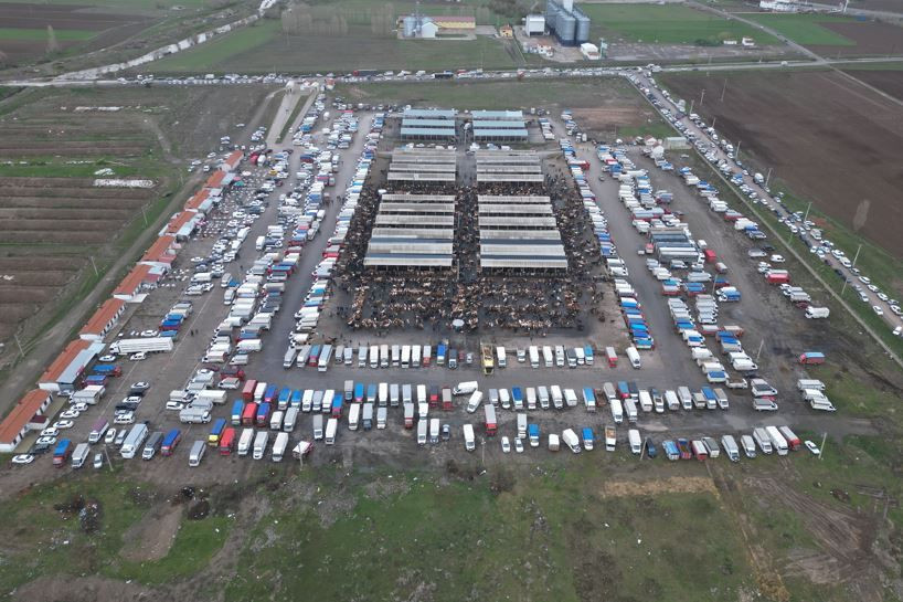 Kurban piyasasında fiyatlar belli oldu: Besicilerden kritik uyarı - Resim: 10