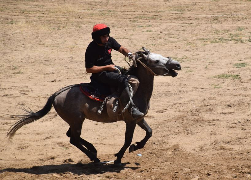 At sırtındaki amansız mücadele nefes kesti: Erciş’te dört nala heyecan - Resim: 8