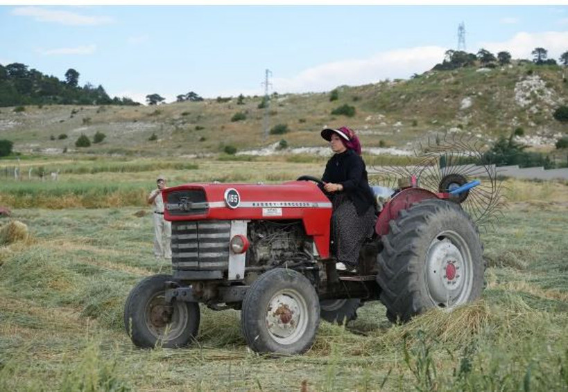 Saçından fırça yaptı, Türkiye'nin 