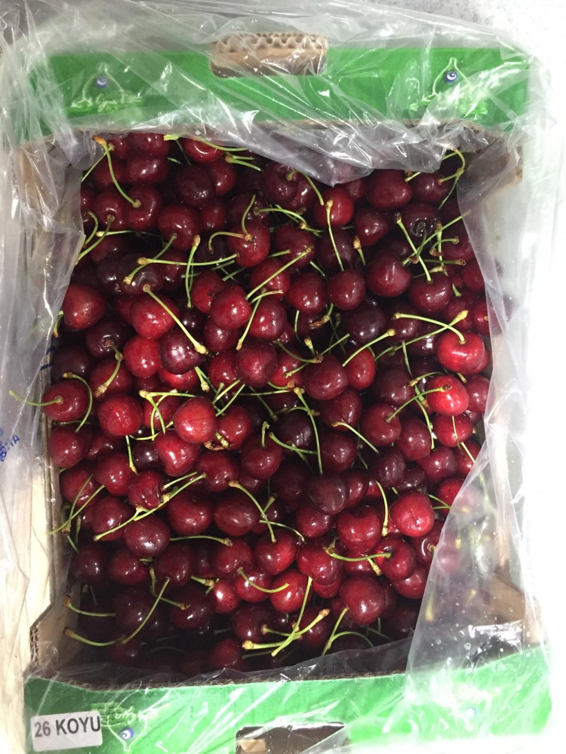 Borca dayanamadı Türk gıda markası iflas etti: Kiraz, incir ve nar ürünlerini dış pazara sunuyordu - Resim: 1