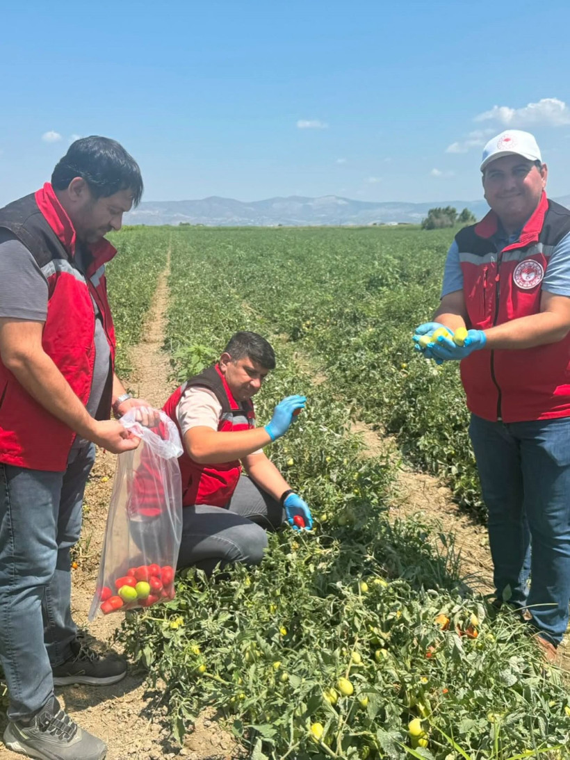 Manisa'da organik ürünlere pestisit denetimi - Resim : 1