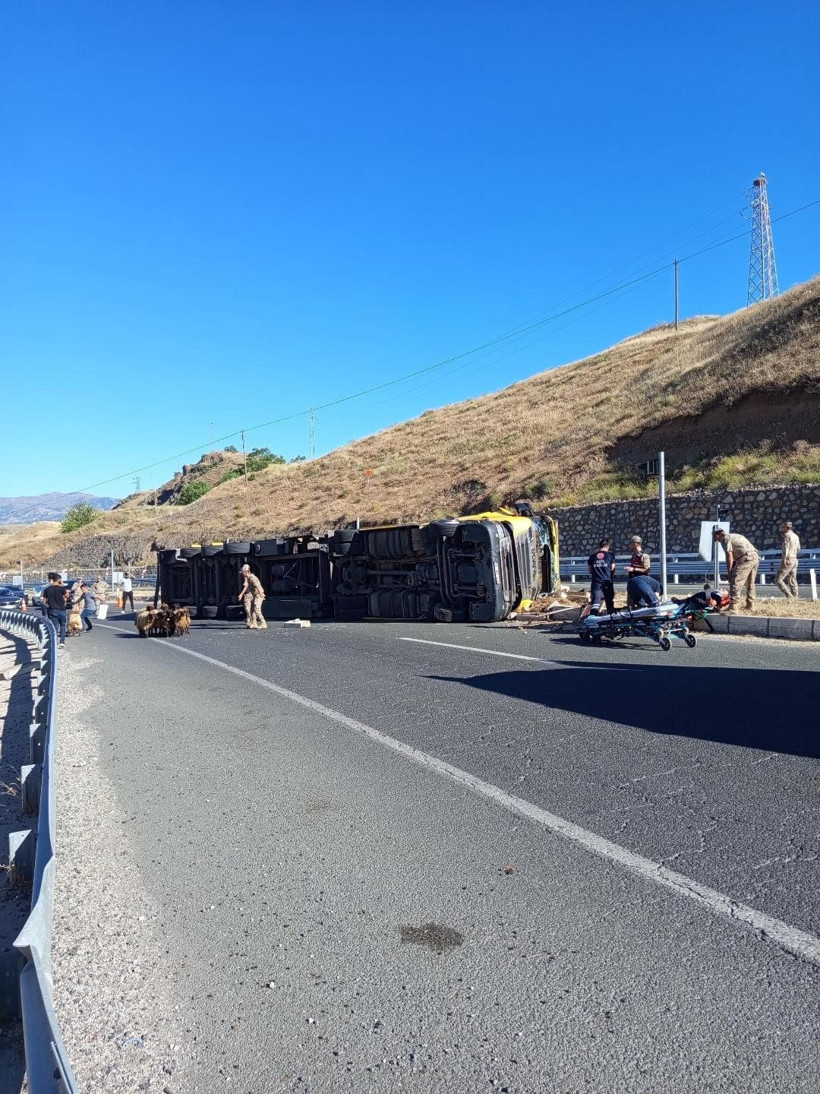 Elazığ'da hayvan yüklü tır devrildi: 2 kişi yaralandı, 6 hayvan telef oldu - Resim : 1