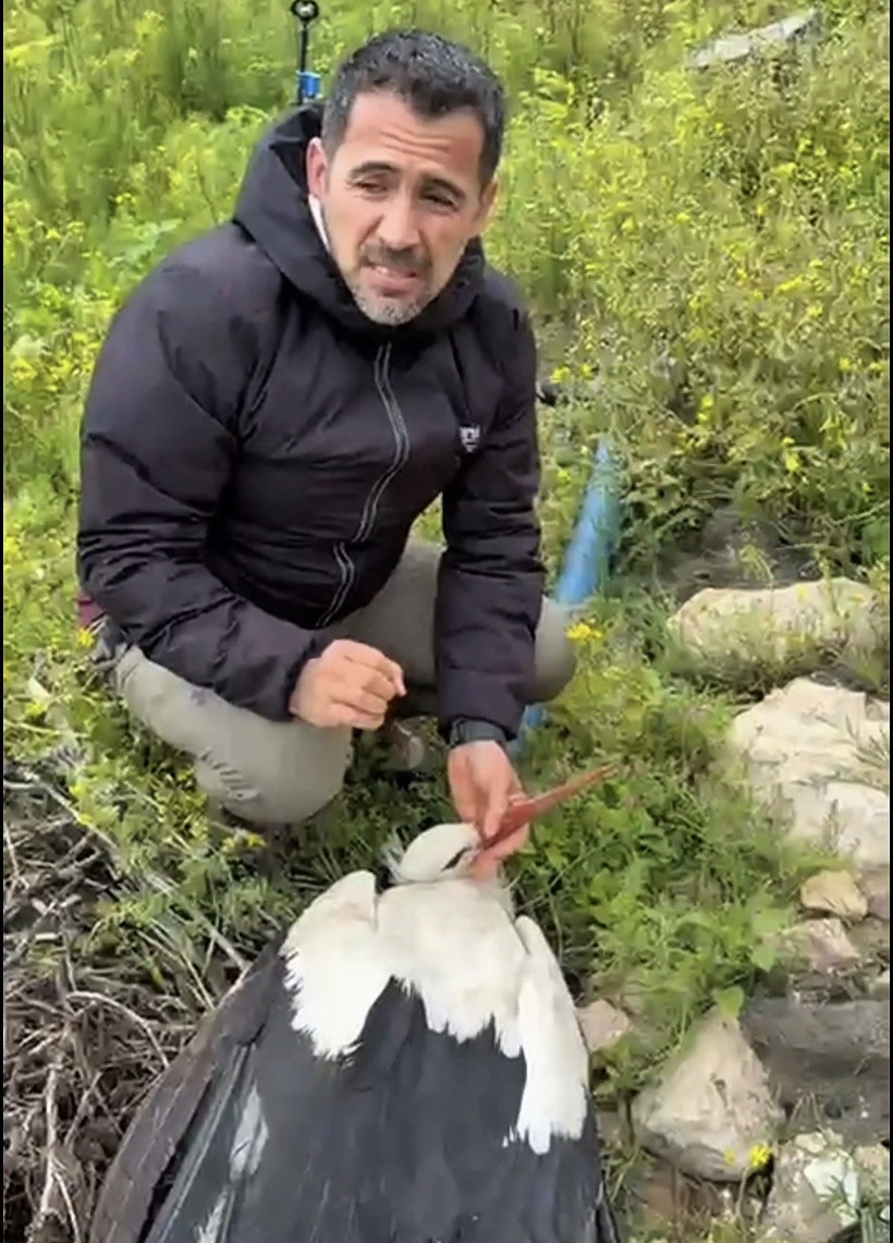 Göç yolunda acı son: Avcıların hedefi oldu - Resim : 4