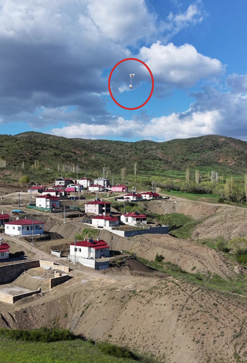 Merada hayvan otlatırken tepelerinde belirdi: Çobanlara dijital sürpriz - Resim : 6
