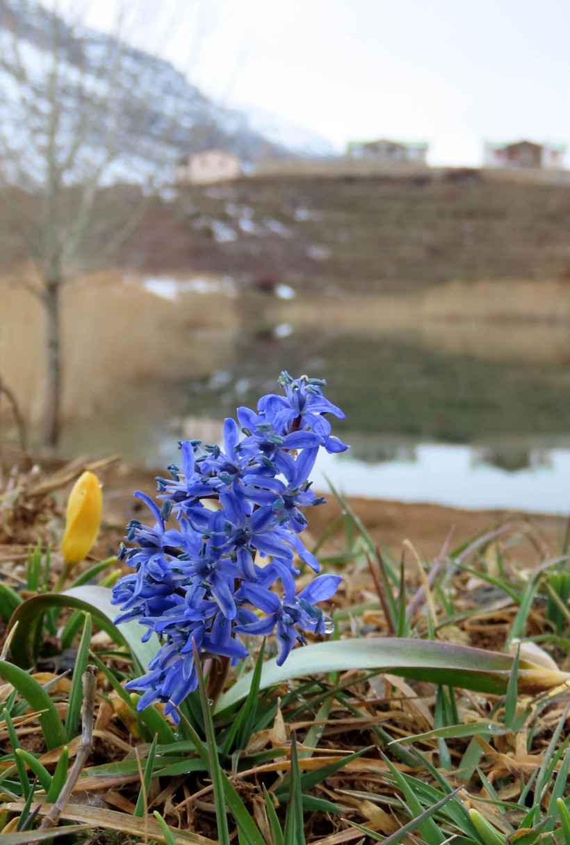 Sadece 14 gün görebileceksiniz: Kaçırmayın ama çiğnemeyin - Resim: 9
