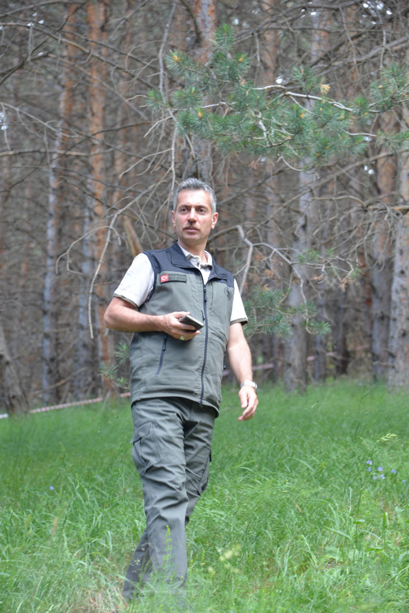 Finlandiya'dan ithal ediliyordu: Müjdeyi Orman Bölge Müdürlüğü verdi: İlaç ve diş macununda kullanıyor - Resim : 2