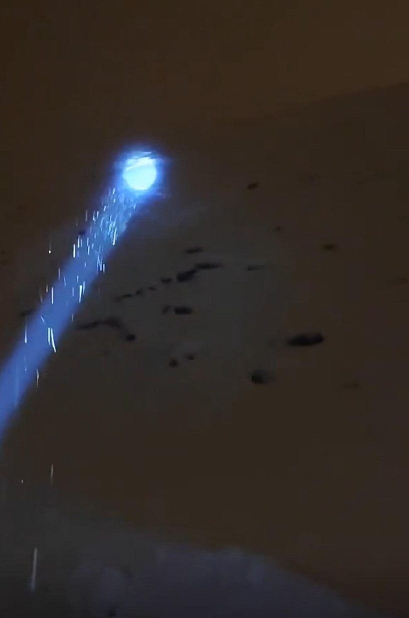 Geceyarısı kurt saldırısı: Son anda araca binip kurtuldular - Resim : 4