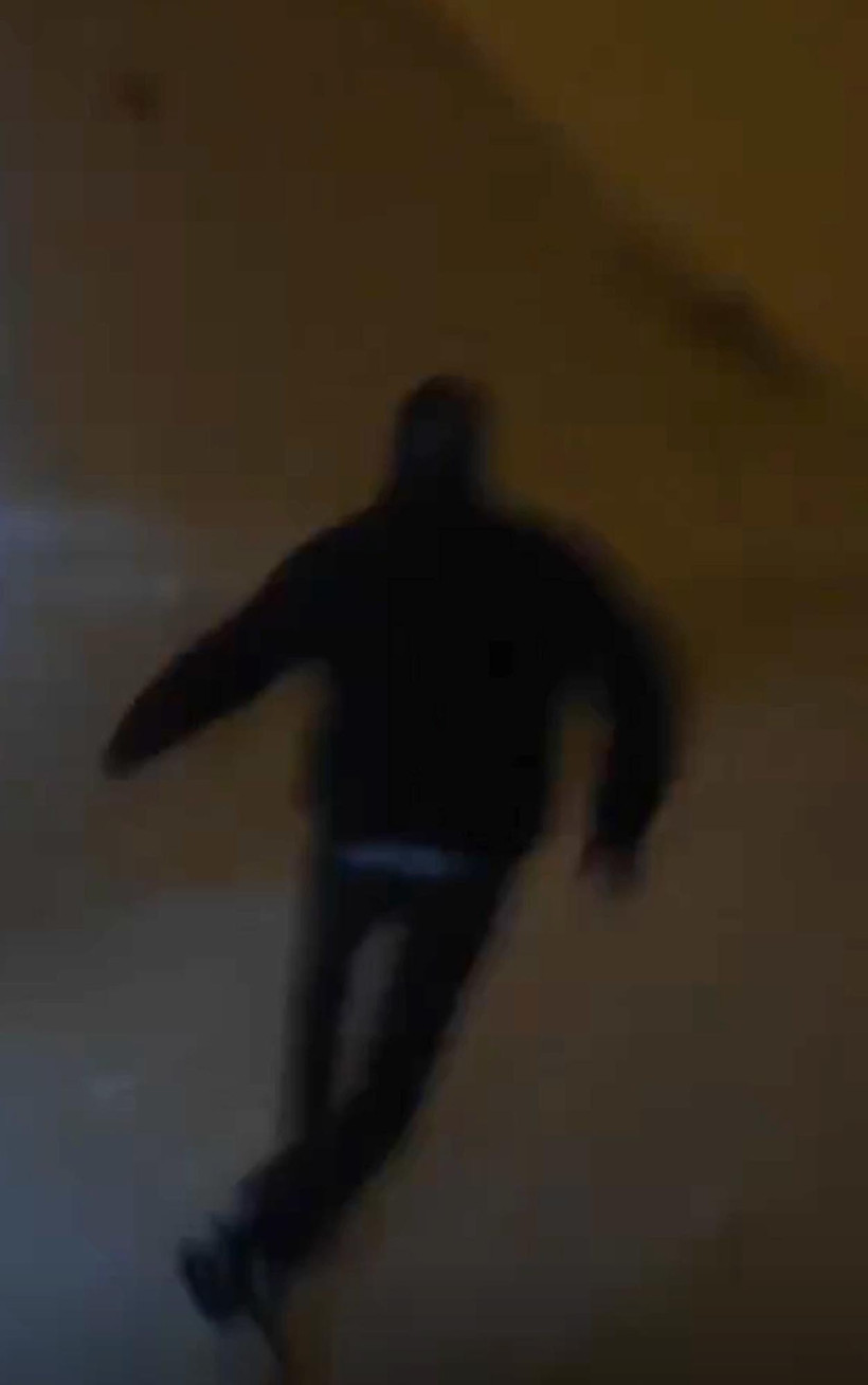 Geceyarısı kurt saldırısı: Son anda araca binip kurtuldular - Resim : 2