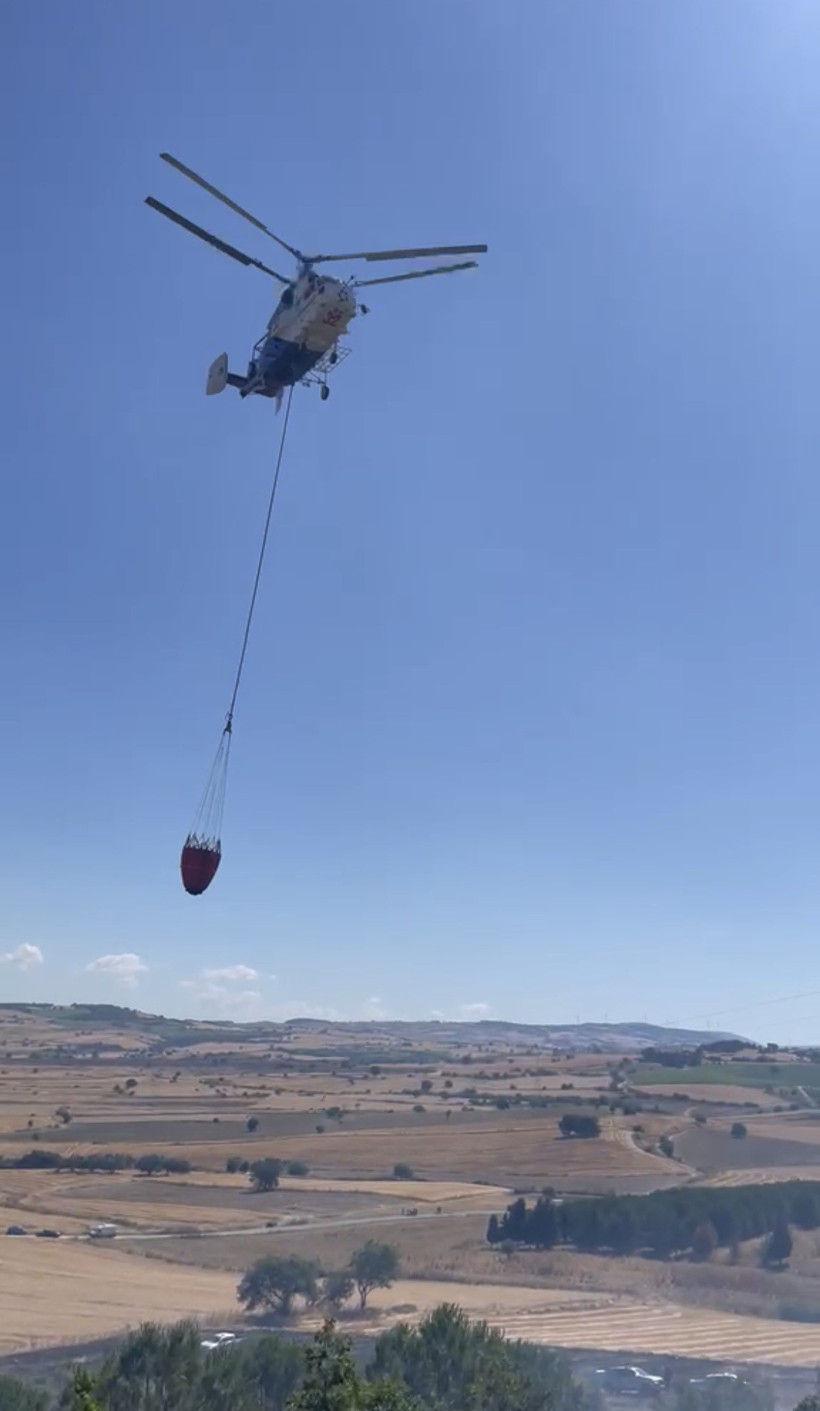 Çanakkale'de orman yangını: Çıkış nedeni herkesi şaşırttı - Resim : 4