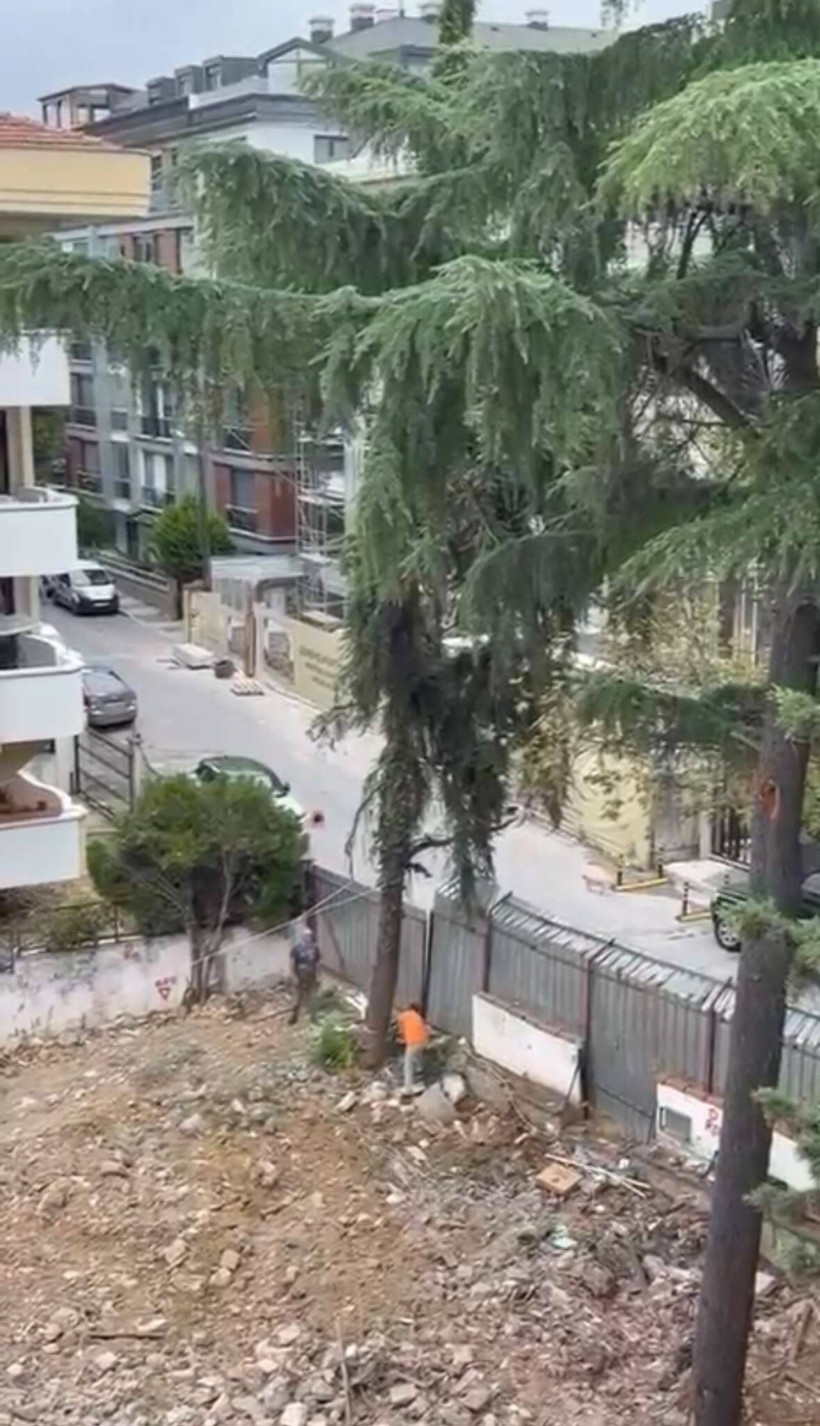 Ağaç kesimi pahalıya patladı: 2 otomobil hurdaya döndü - Resim: 6