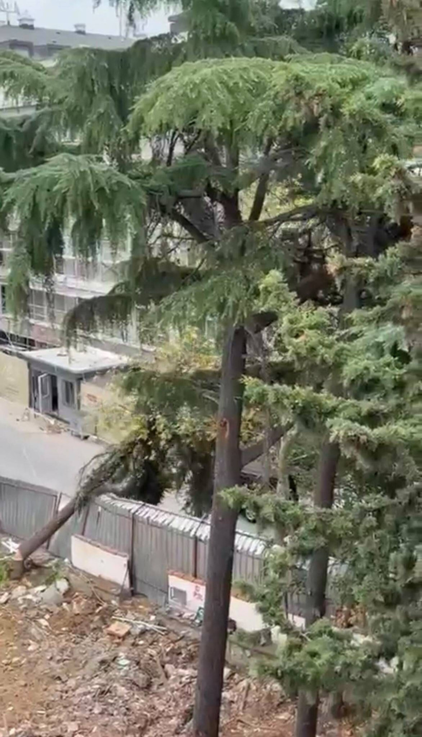 Ağaç kesimi pahalıya patladı: 2 otomobil hurdaya döndü - Resim: 5