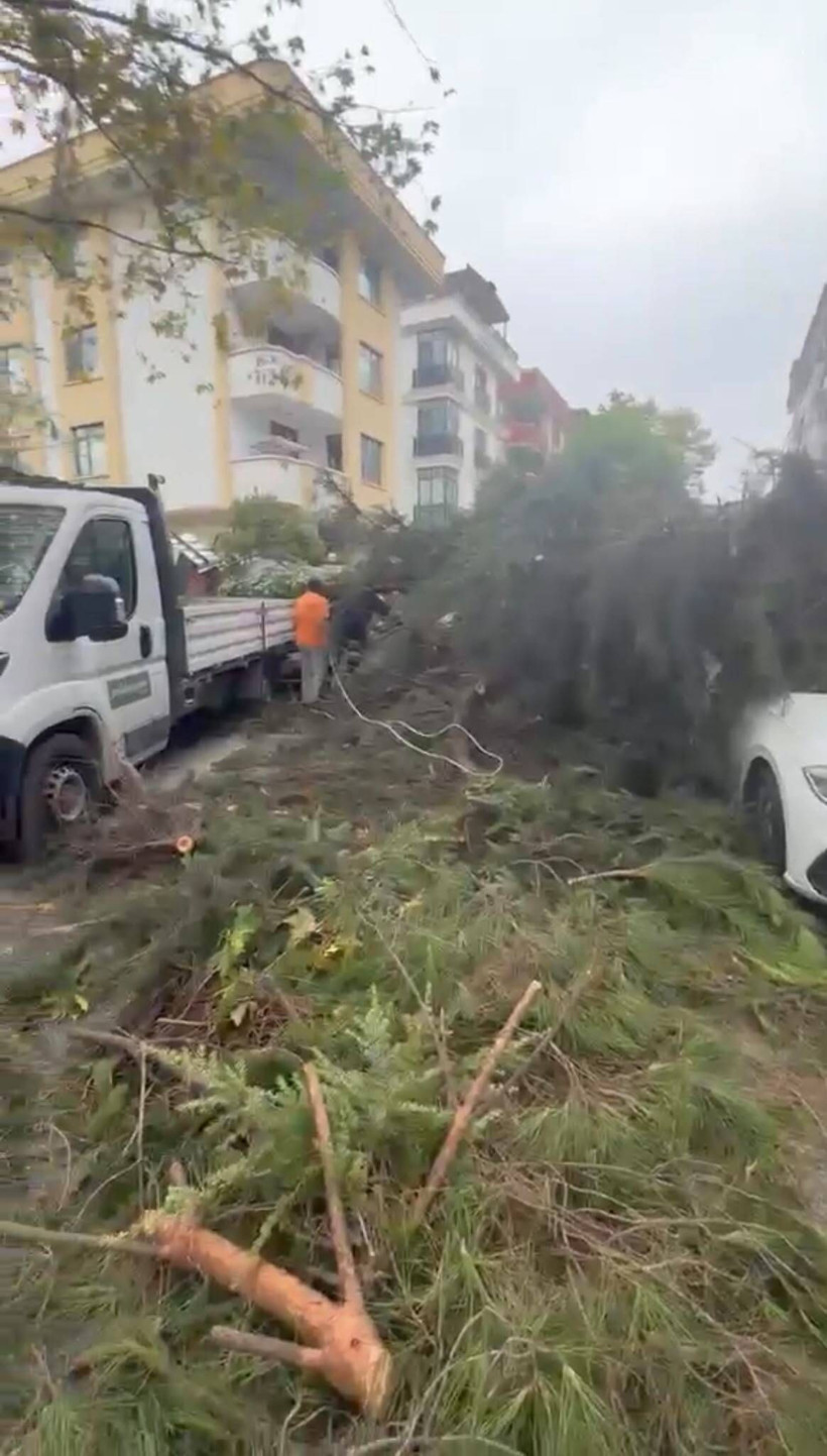 Ağaç kesimi pahalıya patladı: 2 otomobil hurdaya döndü - Resim: 2