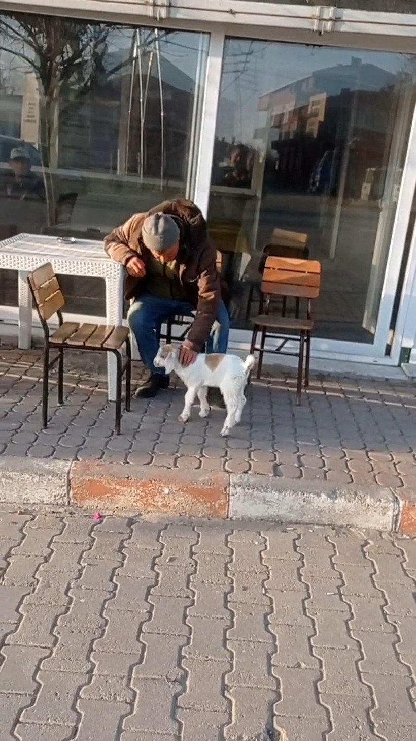 Ke&ccedil;i ile alışveriş keyfi: Sosyal medyada viral oldu - Resim : 1