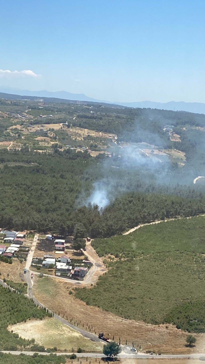 Balyoz ve demir kesme makinesi ormanı kül etti: 2 kişi gözaltına alındı - Resim: 5