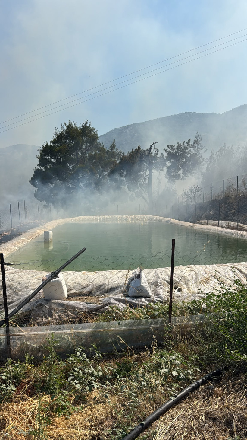 Antalya'da ormanlık alanda korkutan yangın: 2 helikopterle müdahale edildi - Resim : 1