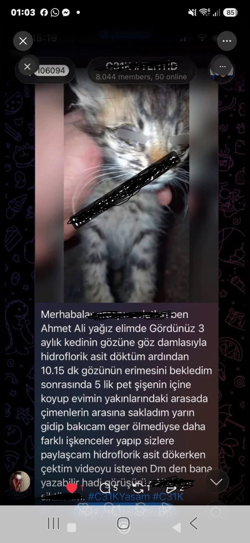 Telegram grubundan yeni tehditler: 'Yarın çok geç olabilir' - Resim : 3
