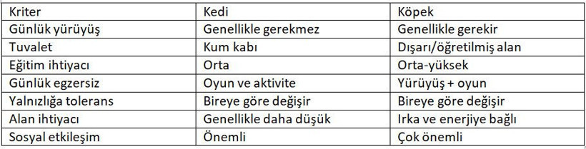 Evde beslenebilecek kedi ve köpek cinsleri - Resim : 1