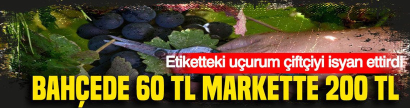 Etiketteki uçurum çiftçiyi isyan ettirdi: Bahçede 60 TL markette 200 TL - Resim: 1