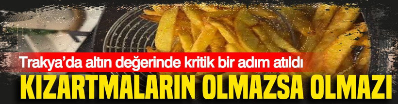 Trakya’da altın değerinde kritik bir adım atıldı - Resim: 1