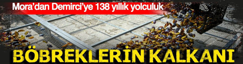 Böbreklerin kalkanı: Mora’dan Demirci’ye 138 yıllık yolculuk - Resim: 1