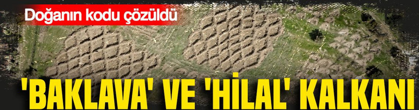 'Baklava' ve 'Hilal' kalkanı: Doğanın kodu çözüldü: Su bitti derken umut doğdu - Resim: 1