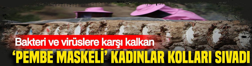 Bakteri ve virüslere karşı kalkan: ‘Pembe maskeli’ kadınlar kolları sıvadı - Resim: 1