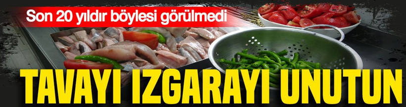 Tavayı, ızgarayı unutun: Şişte yeni lezzet - Resim: 1