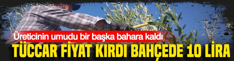 Üreticinin umudu bir başka bahara kaldı: Bahçede 10 lira - Resim: 1