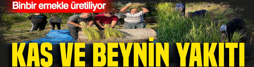 Kas ve beynin yakıtı: Binbir emekle üretiliyor: Bilenler bu lezzetin peşinde - Resim: 1