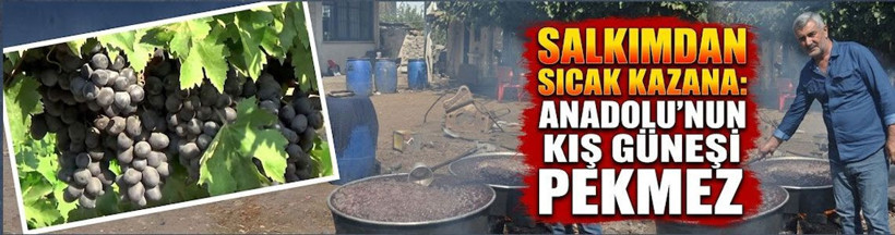 Salkımdan sıcak kazana: Anadolu’nun kış güneşi pekmez - Resim: 1