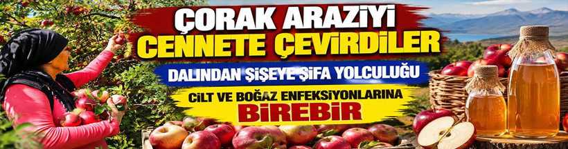 Çorak araziyi cennete çevirdiler: Dalından şişeye şifa yolculuğu: Cilt ve boğaz enfeksiyonlarına birebir - Resim: 1