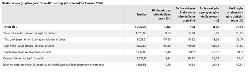 TÜİK açıkladı: Tarlada ateş sönmüyor - Resim : 1