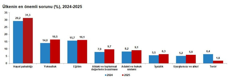 TÜİK açıkladı: Hayat pahalılığına rağmen yüzde 53,3 mutlu - Resim : 6