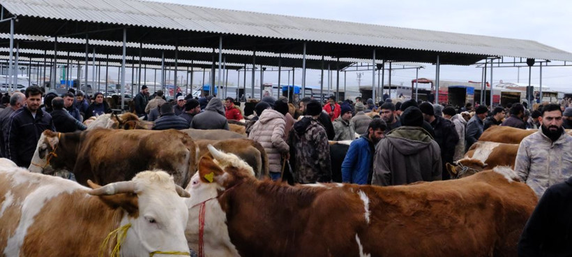 Kurban piyasasında fiyatlar belli oldu: Besicilerden kritik uyarı - Resim: 3