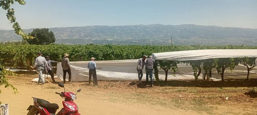 Günde 2 bin 100 lira kazanıyorlar: Erken saatlerde mesaiye başlıyorlar - Resim : 1