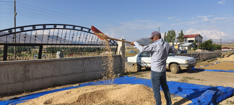 Kilosu 100 TL'den alıcı buluyor: Peynir ekmek gibi satılıyor - Resim: 9