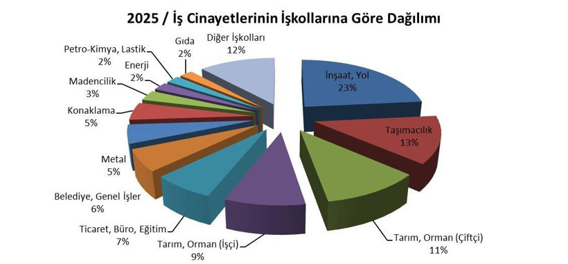 Muş'ta bellerine ip bağlayarak çatı temizlediler: İşte Türkiye'nin iş sağlığı raporu - Resim: 6