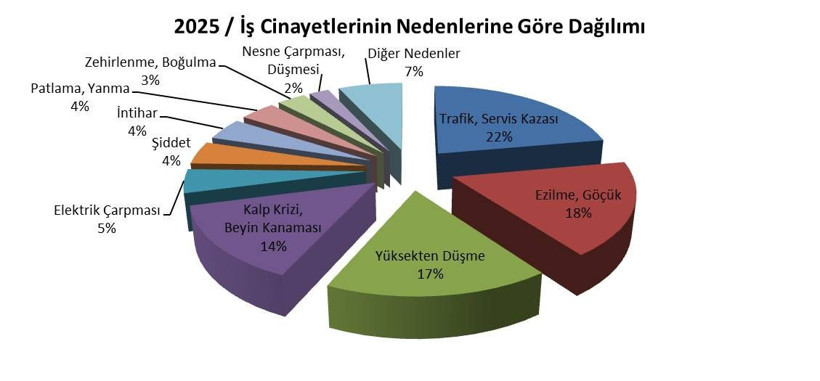 Muş'ta bellerine ip bağlayarak çatı temizlediler: İşte Türkiye'nin iş sağlığı raporu - Resim: 8
