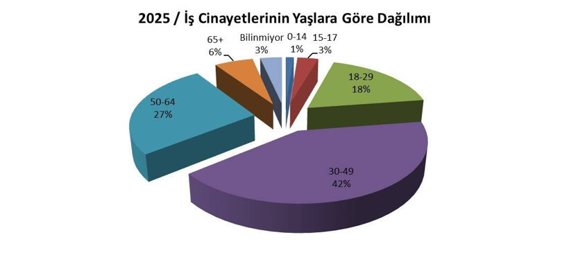 Muş'ta bellerine ip bağlayarak çatı temizlediler: İşte Türkiye'nin iş sağlığı raporu - Resim: 9