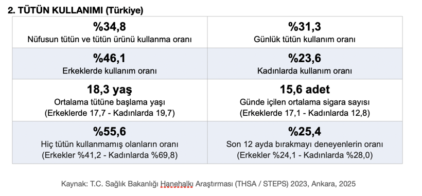 Uzmanı uyarıyor: Dumansız alan ihlalleri artıyor, &ccedil;ocuklar risk altında - Resim : 3