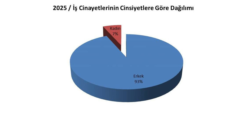 Muş'ta bellerine ip bağlayarak çatı temizlediler: İşte Türkiye'nin iş sağlığı raporu - Resim: 10