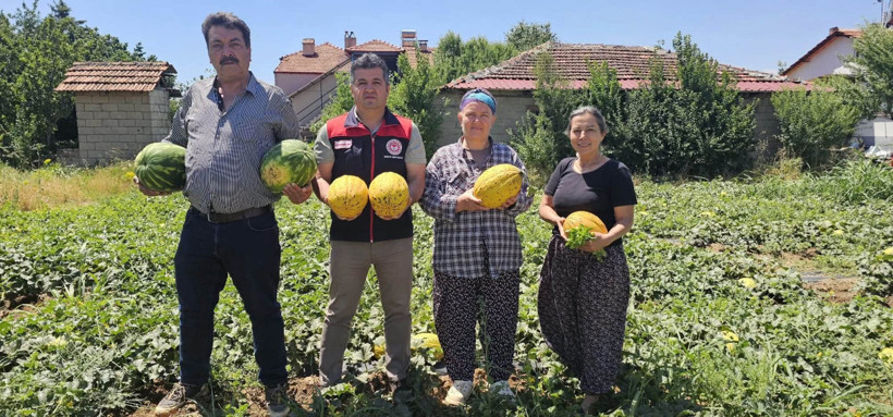Denizli’de hasat başladı: Coğrafi işaretli acıpayam kavunu tezgaha iniyor - Resim : 1