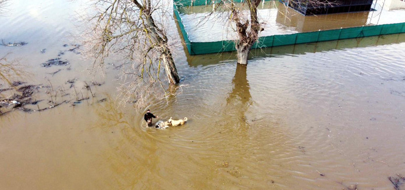 Meriç coştu, Arda Nehri taştı: DSİ’den turuncu alarmı - Resim : 2