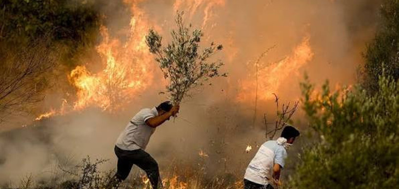 İki tehdit arasında İstanbul: Bugünü sel yarını yangın - Resim : 5