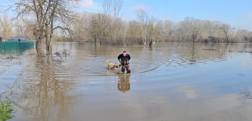 Meriç coştu, Arda Nehri taştı: DSİ’den turuncu alarmı - Resim : 1