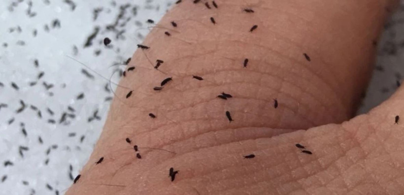 Kar üzerinde milyonlarcası görüldü… Kabus Türkiye’ye geldi mi? - Resim : 1