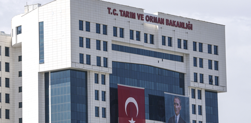 Bakanlık tek tek ifşa etti: Baharatta yasaklı boya, sucukta tek tırnaklı - Resim: 12