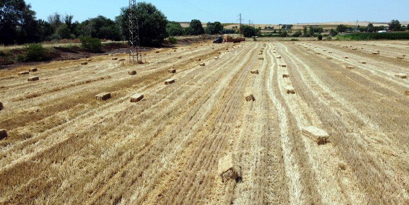 Tekirdağ’da yangın alarmı: Balya makinesi ve ateş yasağı geldi - Resim : 2