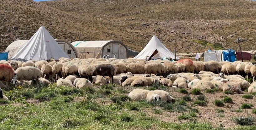 Yeri, yemeği dahil ayda 150 bin lira maaş veriyorlar ama çalışan yok - Resim: 7