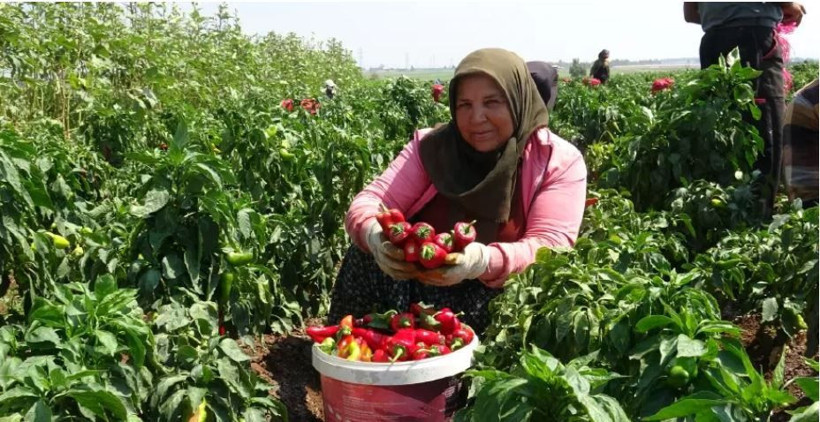Kadınlar ayda 33 bin, erkekler 60 bin lira kazanıyor: Ellerini yüzlerine süremiyorlar - Resim: 3
